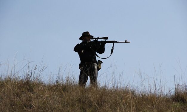 Ambiente: ¿Cuál fue el nuevo planteo en el Parlamento para la regulación de la caza?