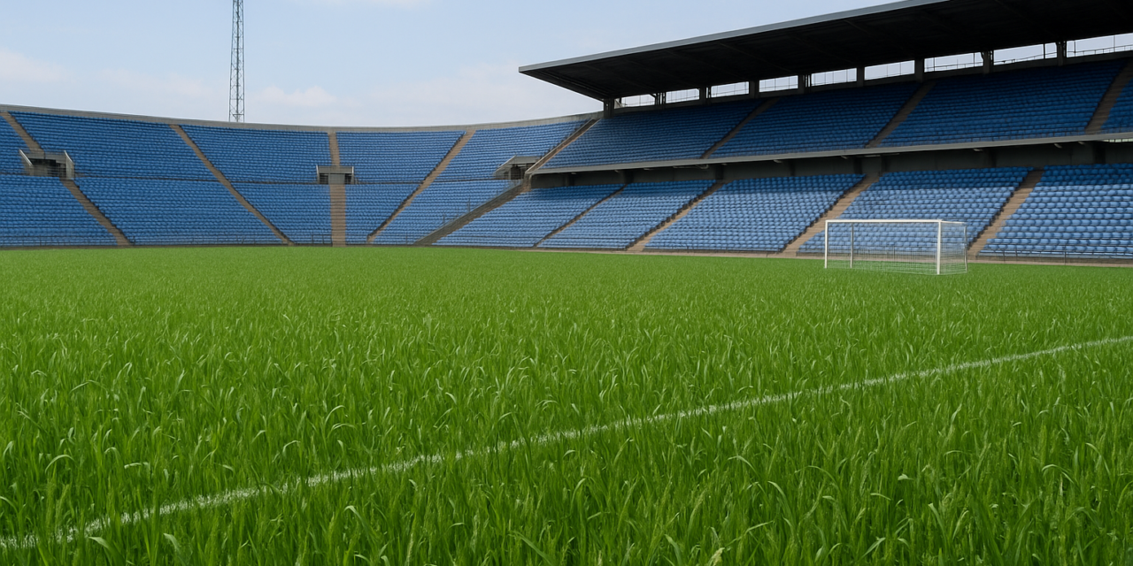 Jornada de Campo: Ambev 2025