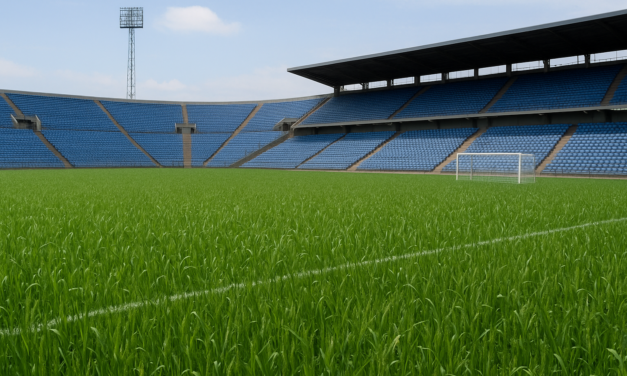 Jornada de Campo: Ambev 2025