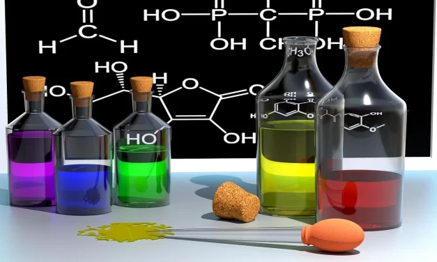 Concentrado de bebidas: ¿Qué lugar ocupa entre las principales exportaciones uruguayas y cuál es su destino?