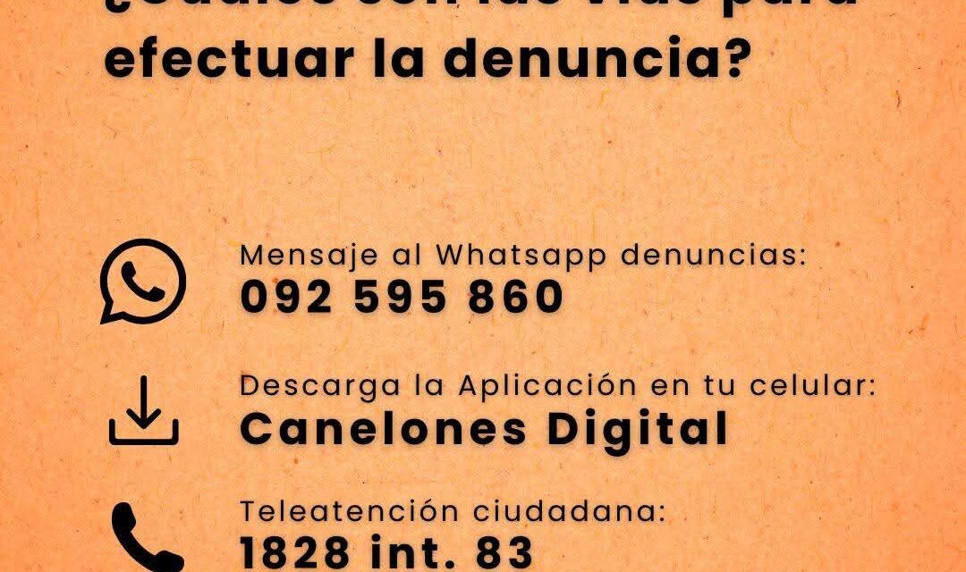 Nuevo canal de denuncias ambientales en Intendencia de Canelones