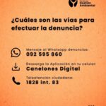 Nuevo canal de denuncias ambientales en Intendencia de Canelones