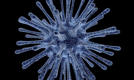 Fundación Uruguaya para la Investigación de Enfermedades Raras: ¿qué proponen?