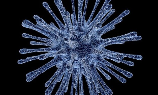 Fundación Uruguaya para la Investigación de Enfermedades Raras: ¿qué proponen?