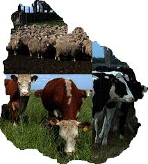 Distintos abordajes de parte de miembros del Instituto de Derecho Agrario en stand de la Udelar en Rural del Prado