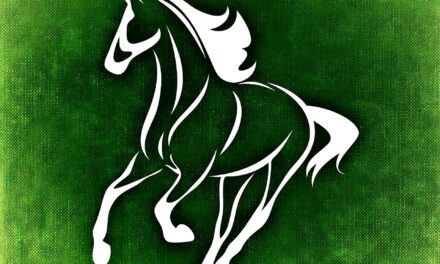 Crean Grupo Asesor Honorario para el análisis de las destrezas ecuestres y la tradición cultural criolla y gaucha de Uruguay