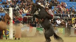 Comunicado ante aplazamiento por seis meses de la entrada en vigencia del reglamento de jineteadas aprobado por INBA