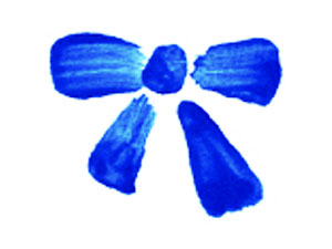 Despegadas: Reporte sobre escuelas con mejores logros de los esperados