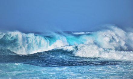Actividad «Compromiso 2030: el camino hacia un Uruguay Azul»