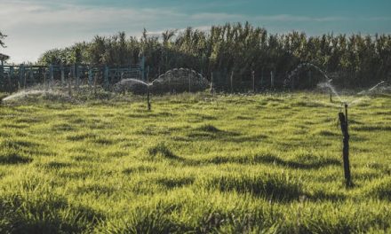 Regulación de siembra y mezclas forrajeras