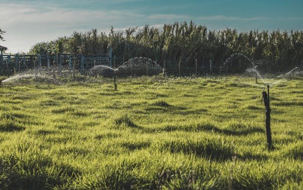 Regulación de siembra y mezclas forrajeras