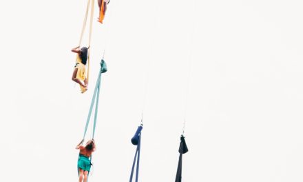 Presentan la investigación Acróbatas sin red: ¿de qué se trata?