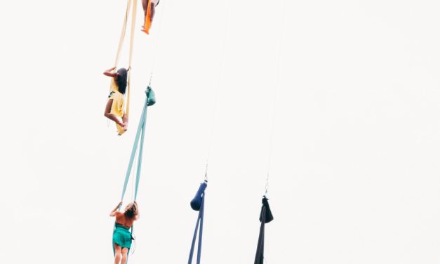 Presentan la investigación Acróbatas sin red: ¿de qué se trata?