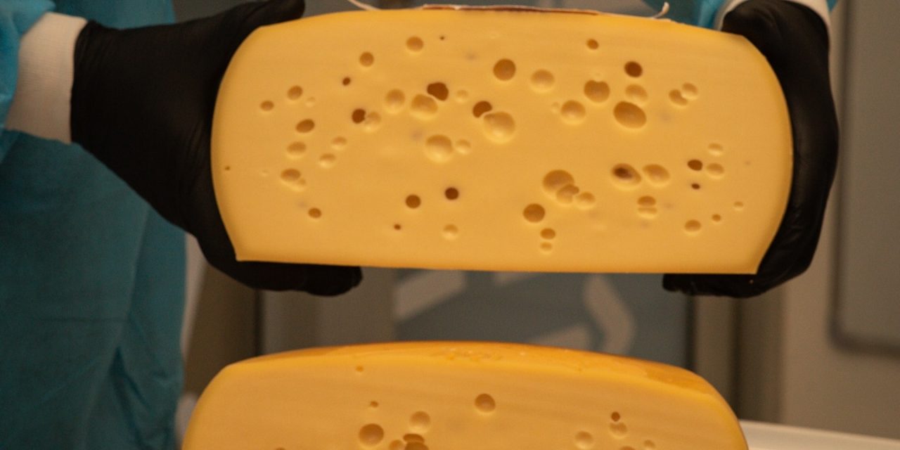 Reunión Informativa sobre Ruta del Queso Colonia