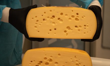 Reunión Informativa sobre Ruta del Queso Colonia