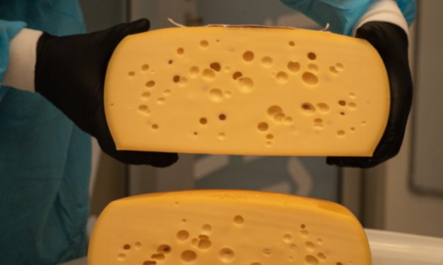 Reunión Informativa sobre Ruta del Queso Colonia