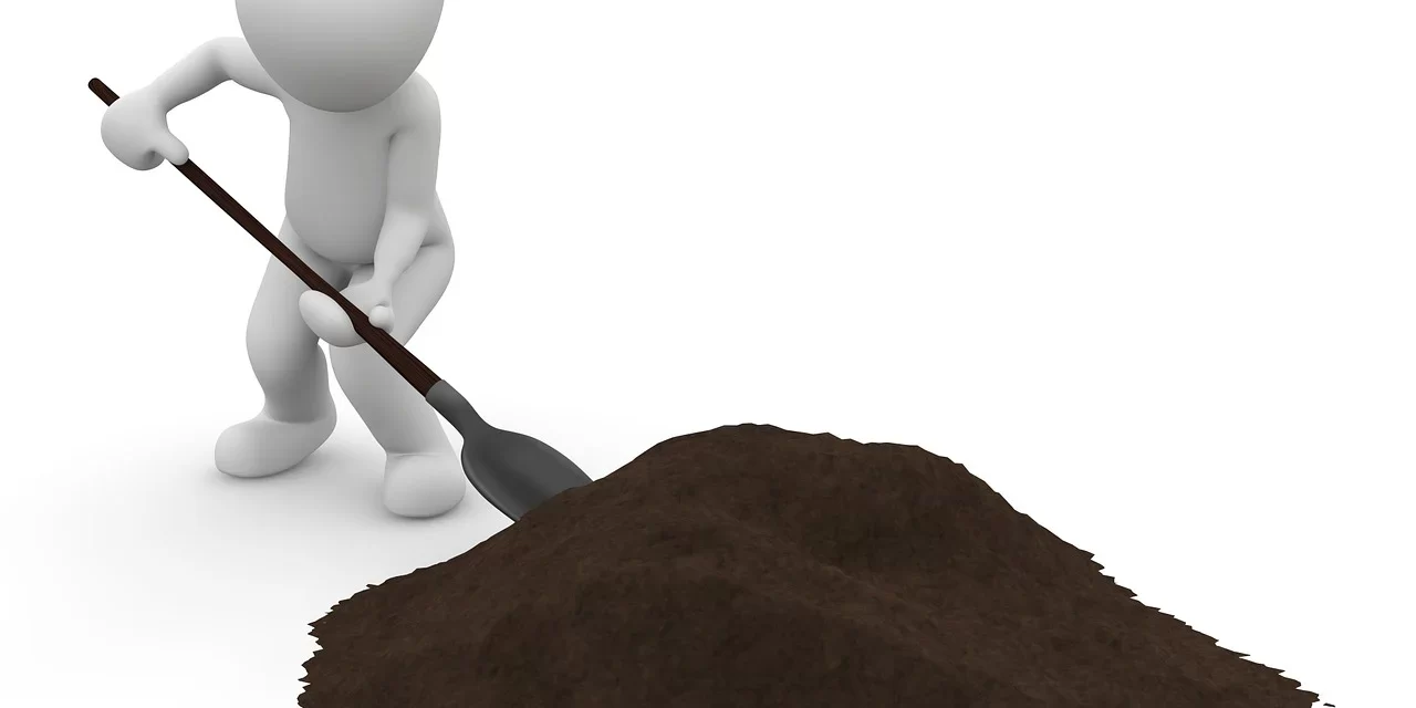 DESAFÍO: USO DE CENIZAS DE BIOMASA EN CONSTRUCCIÓN