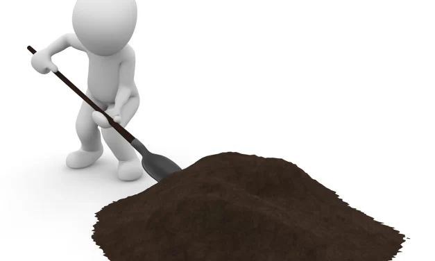 DESAFÍO: USO DE CENIZAS DE BIOMASA EN CONSTRUCCIÓN