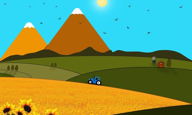 Evento Invertir en tierras ¿cuán rentable y riesgoso es?