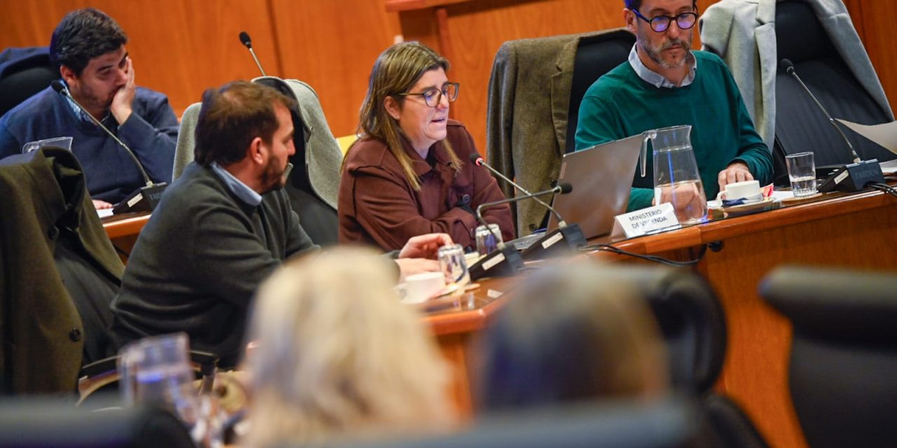 PASEYRO SOBRE CAMBIOS EN LEY DE VIVIENDA PROMOVIDA: “NUESTRO COMPROMISO ES ORIENTAR CADA RECURSO HACIA DONDE MÁS SE NECESITA”