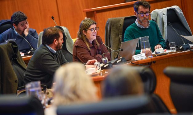 PASEYRO SOBRE CAMBIOS EN LEY DE VIVIENDA PROMOVIDA: “NUESTRO COMPROMISO ES ORIENTAR CADA RECURSO HACIA DONDE MÁS SE NECESITA”