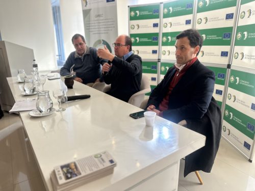 Intendencia de Flores