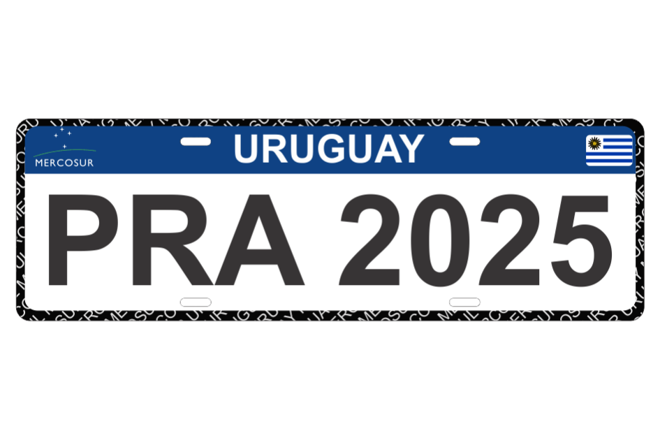 Nuevo Plan de Regularización de Adeudos de Patentes 2025