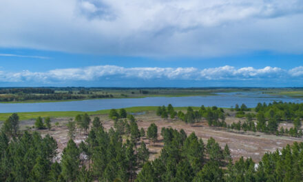 Innovador proyecto busca generar comunidades rurales sustentables a un paso de la ciudad