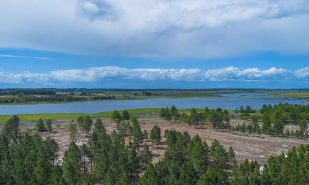 Innovador proyecto busca generar comunidades rurales sustentables a un paso de la ciudad