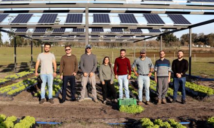 UTEC estudia el “doble uso de la tierra” para cultivar y producir energía solar en el mismo espacio
