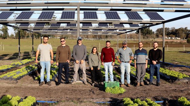 UTEC estudia el “doble uso de la tierra” para cultivar y producir energía solar en el mismo espacio