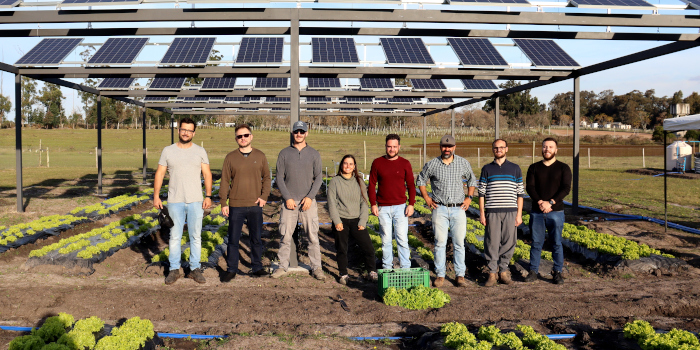 UTEC estudia el “doble uso de la tierra” para cultivar y producir energía solar en el mismo espacio