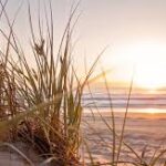 Lanzamiento de la campaña Verano en Movimiento