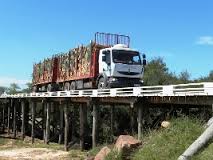 Montes del Plata recibió el primer cargamento de madera