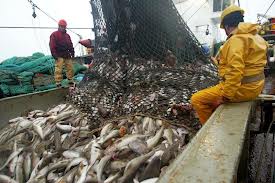 Senador Agazzi: Después de mas de tres décadas se aprobó una nueva ley de pesca