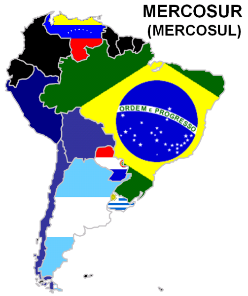 Reflexiones, propuestas y demandas de las organizaciones sociales del Mercosur