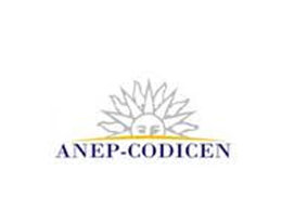 ANEP presentará herramientas de consulta de la gestión educativa en la web