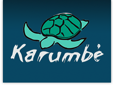 Karumbé: Liberación de tortugas al mar en playa Buceo
