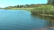 Maldonado: Informe final sobre la Laguna del Diario