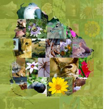 VII Edición del «Simposio internacional biodiversidad y políticas estratégicas para un desarrollo sustentable»