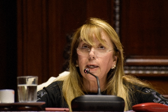 Senadora Martha Montaner (PC) presenta proyecto de ley para mejorar norma sobre violencia doméstica