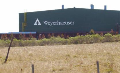 Weyerhaeuser fue nominada entre diez empresas a nivel mundial para recibir el premio a la excelencia