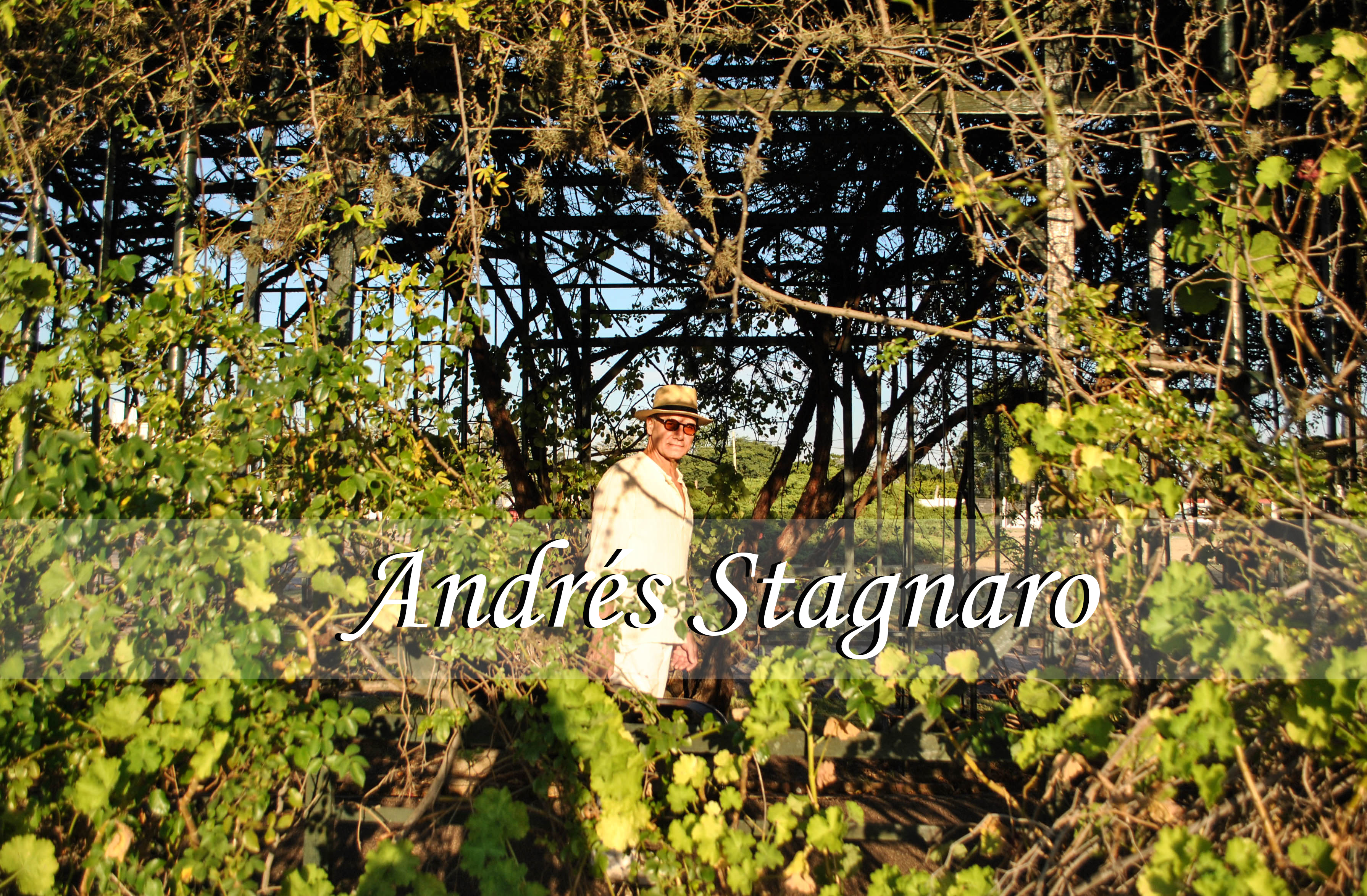 Andrés Stagnaro: El corazón del rosedal cobra voz y danza