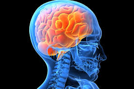 Operaciones con paciente despierto será uno de los temas principales en Congreso de Neurociencia