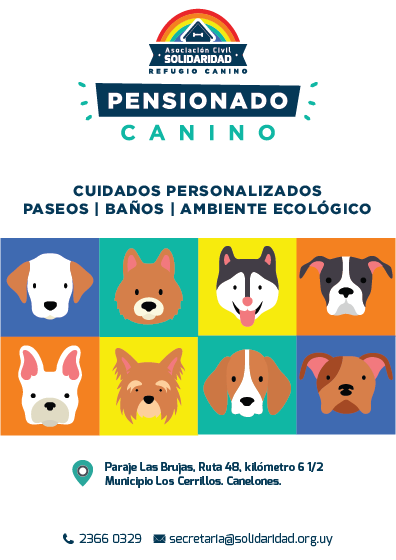 Asociación Civil Solidaridad inauguró un pensionado canino