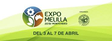 Expo Melilla 2019