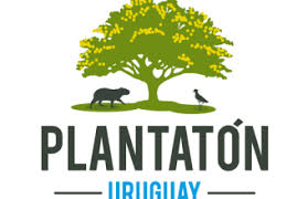 Más de 500 árboles nativos se plantarán en Artigas como primera acción de Plantatón Uruguay