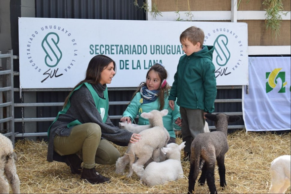 La guardería de corderos que conquistó la Expo Prado 2019