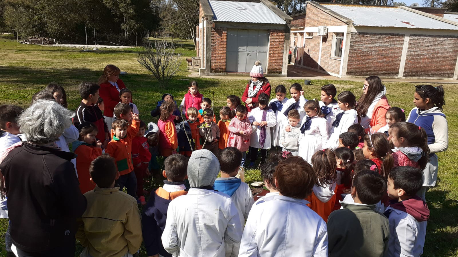 Amigos del Bosque realizó plantación de árboles nativos junto a niños de la escuela pública de Santa Ana