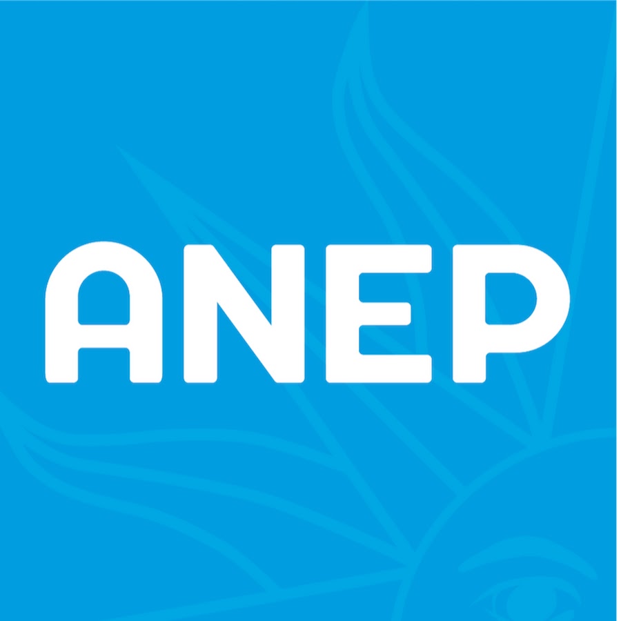 Encuentro ANEP – ONFI sobre eventuales comodatos con fines educativos